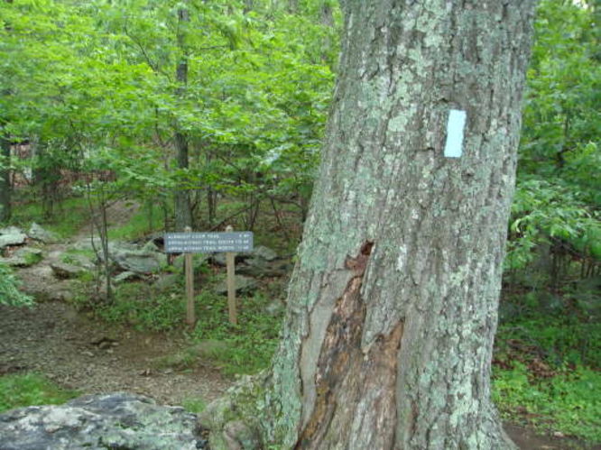 Picture 33 of Humpback Rocks Hike 053109