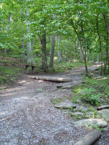 Picture 32 of Humpback Rocks Hike 053109