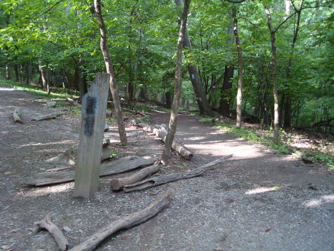 Picture 29 of Humpback Rocks Hike 053109