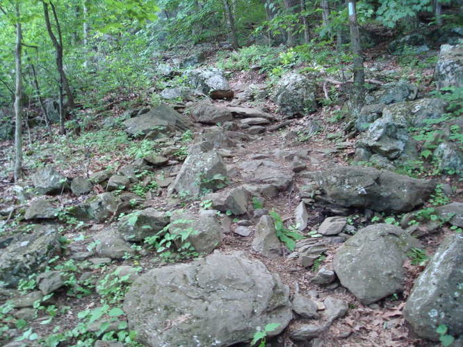 Picture 27 of Humpback Rocks Hike 053109