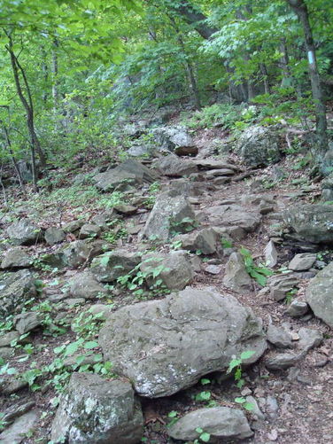 Picture 26 of Humpback Rocks Hike 053109