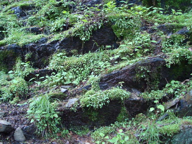 Picture 25 of Humpback Rocks Hike 053109