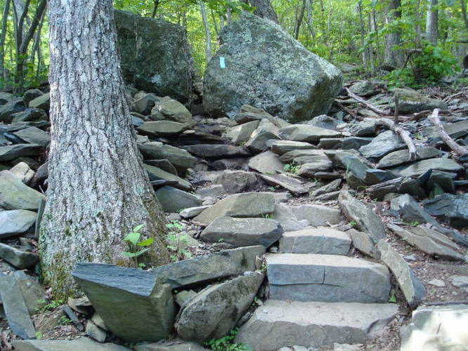 Picture 24 of Humpback Rocks Hike 053109