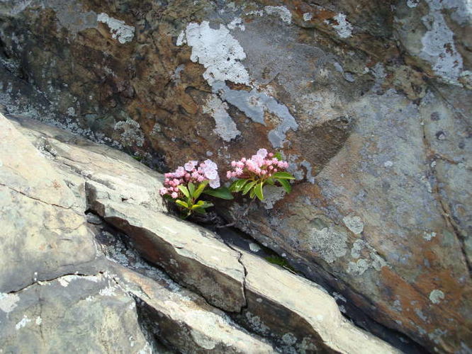 Picture 21 of Humpback Rocks Hike 053109