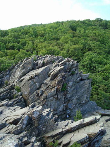 Picture 13 of Humpback Rocks Hike 053109