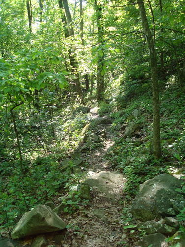 Picture 11 of Humpback Rocks Hike 053109