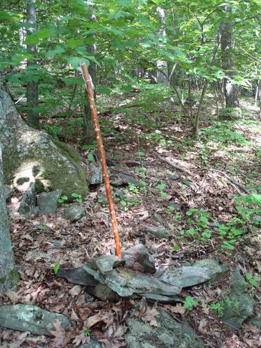 Picture 7 of Humpback Rocks Hike 053109