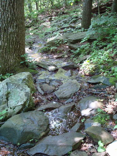 Picture 6 of Humpback Rocks Hike 053109