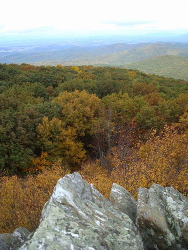 Picture 24 of Humpback Rocks Hike 101109