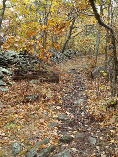 Picture 22 of Humpback Rocks Hike 101109