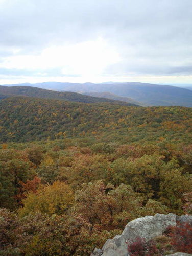 Picture 18 of Humpback Rocks Hike 101109