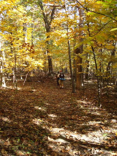 Picture 3 of Humpback Rocks Hike 101109