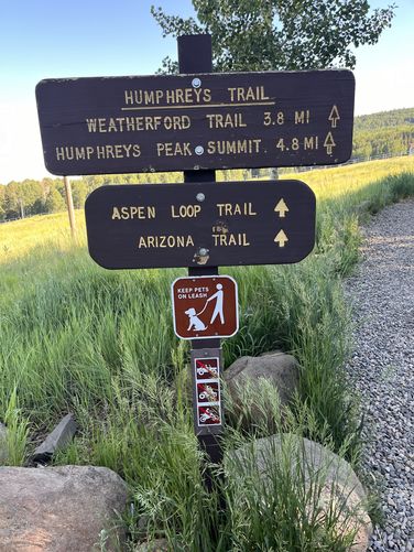 Picture 2 of Humphreys Peak Trail