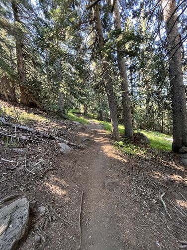 Picture 4 of Humphreys Peak Trail