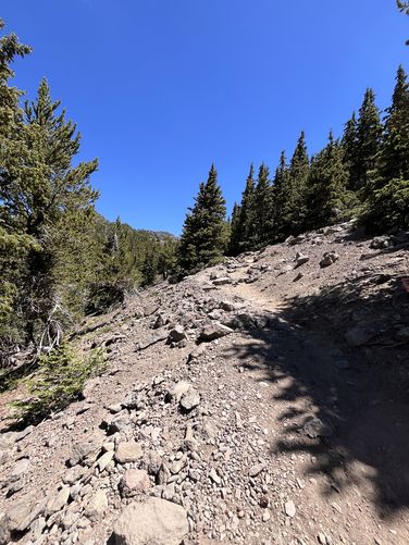 Picture 6 of Humphreys Peak Trail