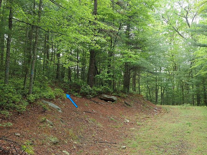 Picture 3 of Hunkerson Gap Hike 052520