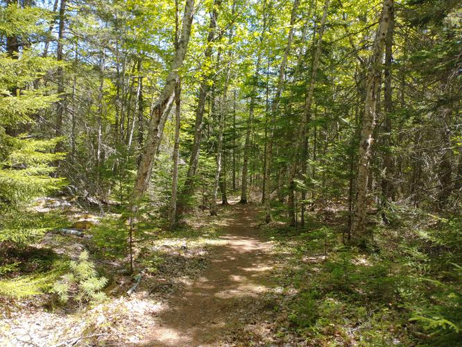 Beginning of trail