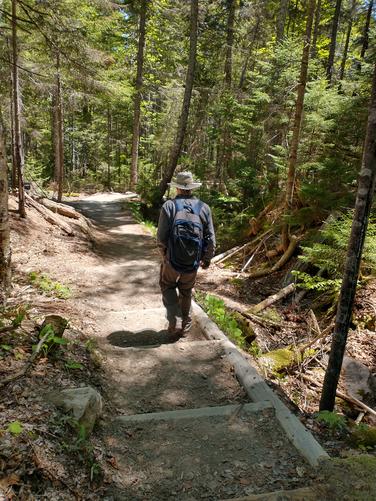 Wood and earth packed steps ease descent 