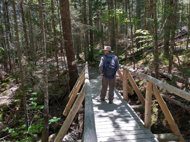 Sturdy bridge over Hunters Brook
