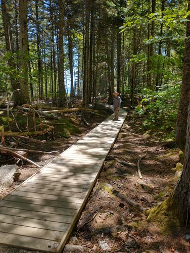 Massive well built boardwalk 