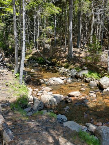 Aview of Hunters Brook alongside the trail Beook