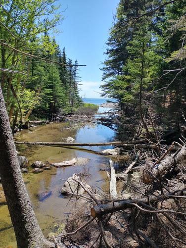 A glimpse of Hunters Beach from the viewing platform 