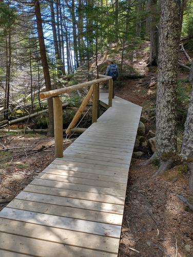 Another boardwalk from the viewing platform 