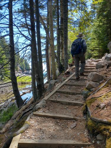 Another set of steps to ease hikers ascent 