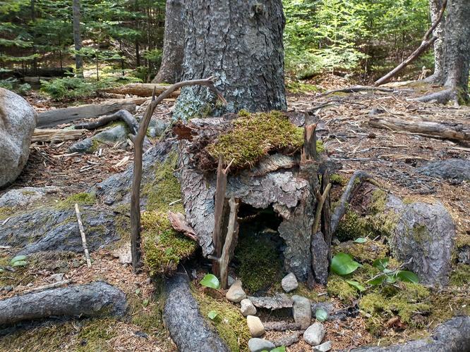 Fairy House along the trail 