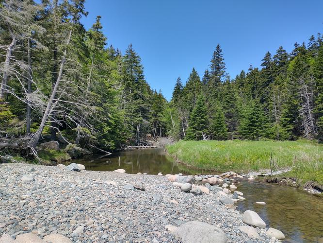 Looking back from the beach to Hunters Brook 