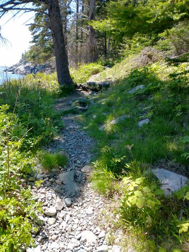 The start and substrate of Hunters Cliffs Trail