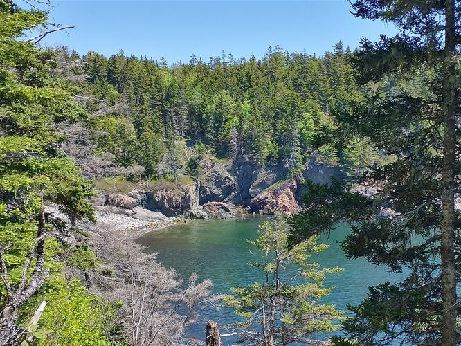 One of the many beautiful views of Hunters Beach from the Hunters Cliffs Trail 