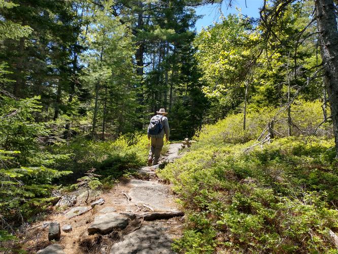 Ledge substrate along the trail 