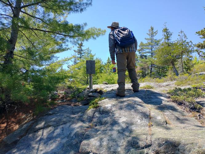 Trail marker for Ledge Loop Trail 