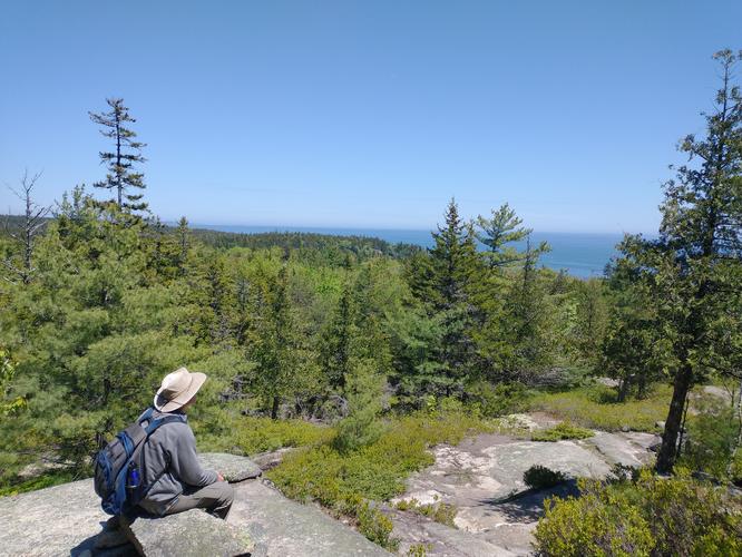 A stone bench provided a final look at the ocean.