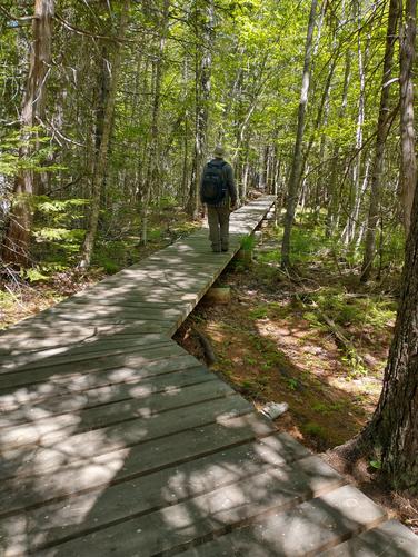 Another thoughtfully placed boardwalk near the exit of the trail