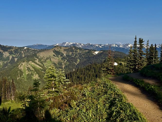 Picture 25 of Hurricane Hill Trail