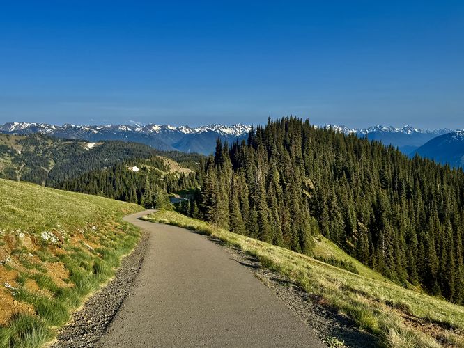 Picture 28 of Hurricane Hill Trail