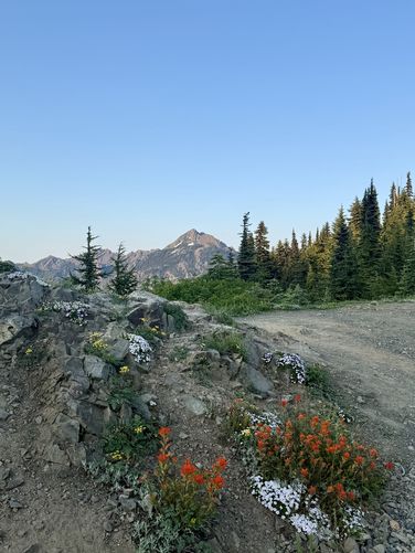 Picture 60 of Hurricane Hill Trail