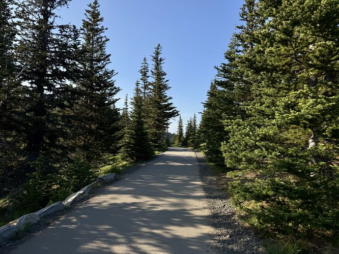Picture 2 of Hurricane Hill Trail