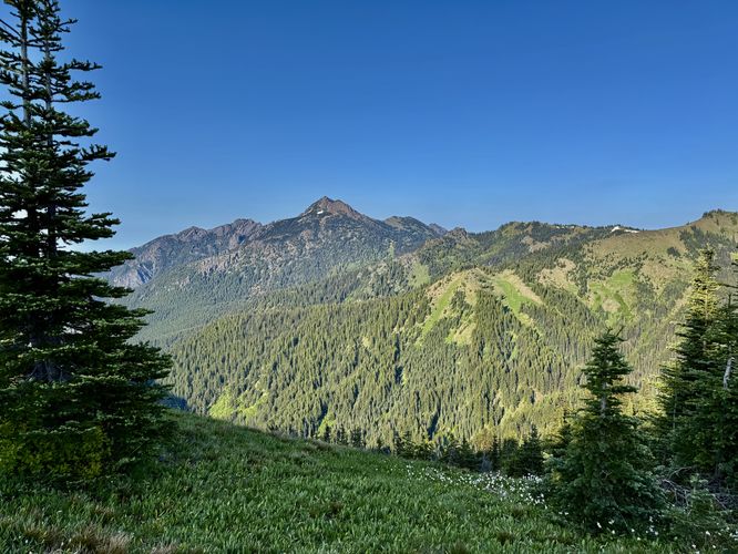 View of the mountains to the east including Mount Angeles