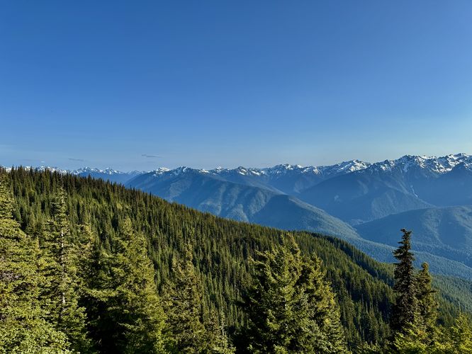 Picture 11 of Hurricane Hill Trail