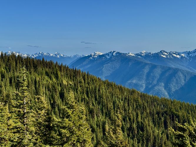 Picture 12 of Hurricane Hill Trail