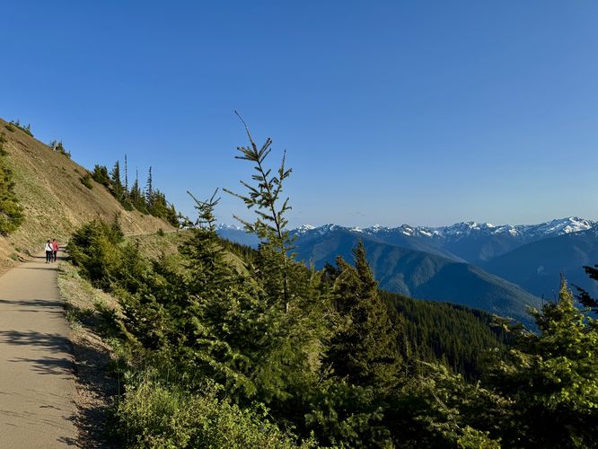 Picture 15 of Hurricane Hill Trail