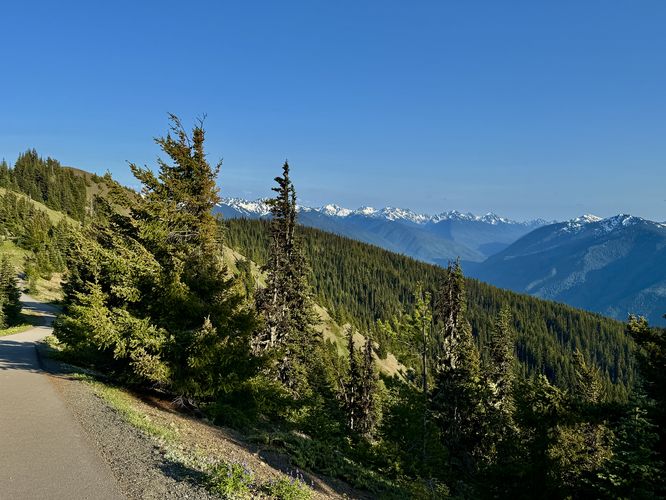 Picture 20 of Hurricane Hill Trail
