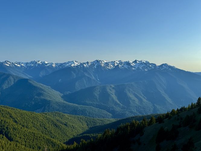 Picture 21 of Hurricane Hill Trail