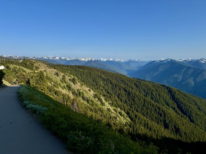 Picture 23 of Hurricane Hill Trail