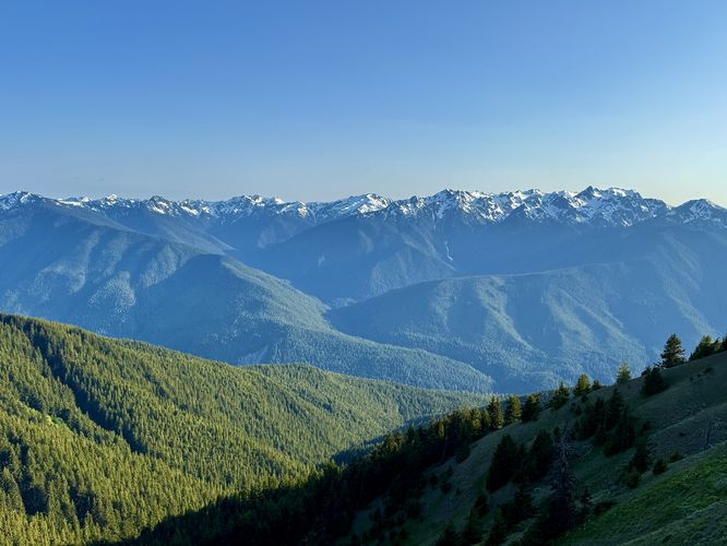 Default image for Hurricane Hill Trail, a 3.4-mile trail in Port Angeles, WA (US)