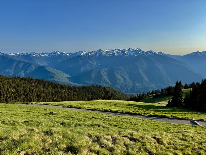 Picture 31 of Hurricane Hill Trail