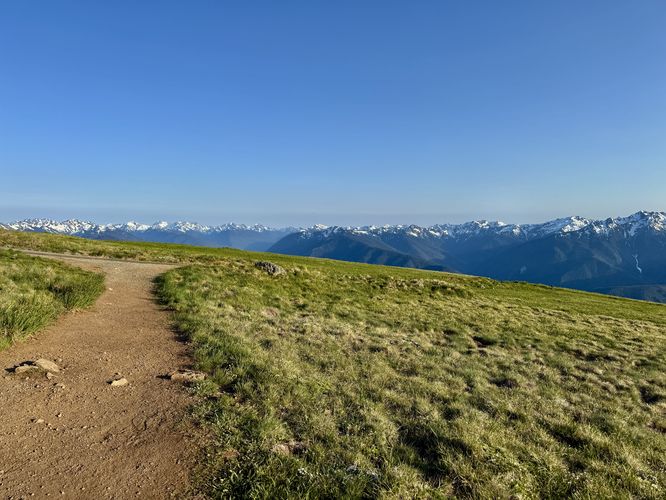 Picture 39 of Hurricane Hill Trail